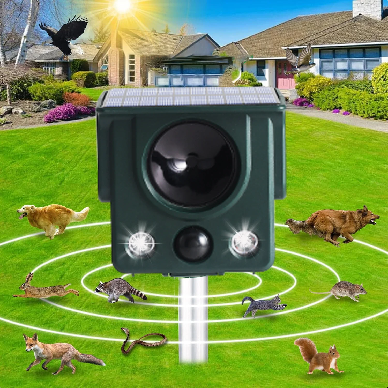 SAIJZEK New Rohs Upgrade Outdoor Solar Animal Repeller Cat Dog Bird Fox Raccoon Wild Pig Deterrent Solar Cat Repeller details