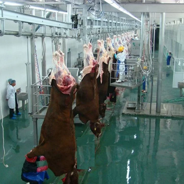 Halal cattle slaughterhouse beef slaughterhouse production line completed