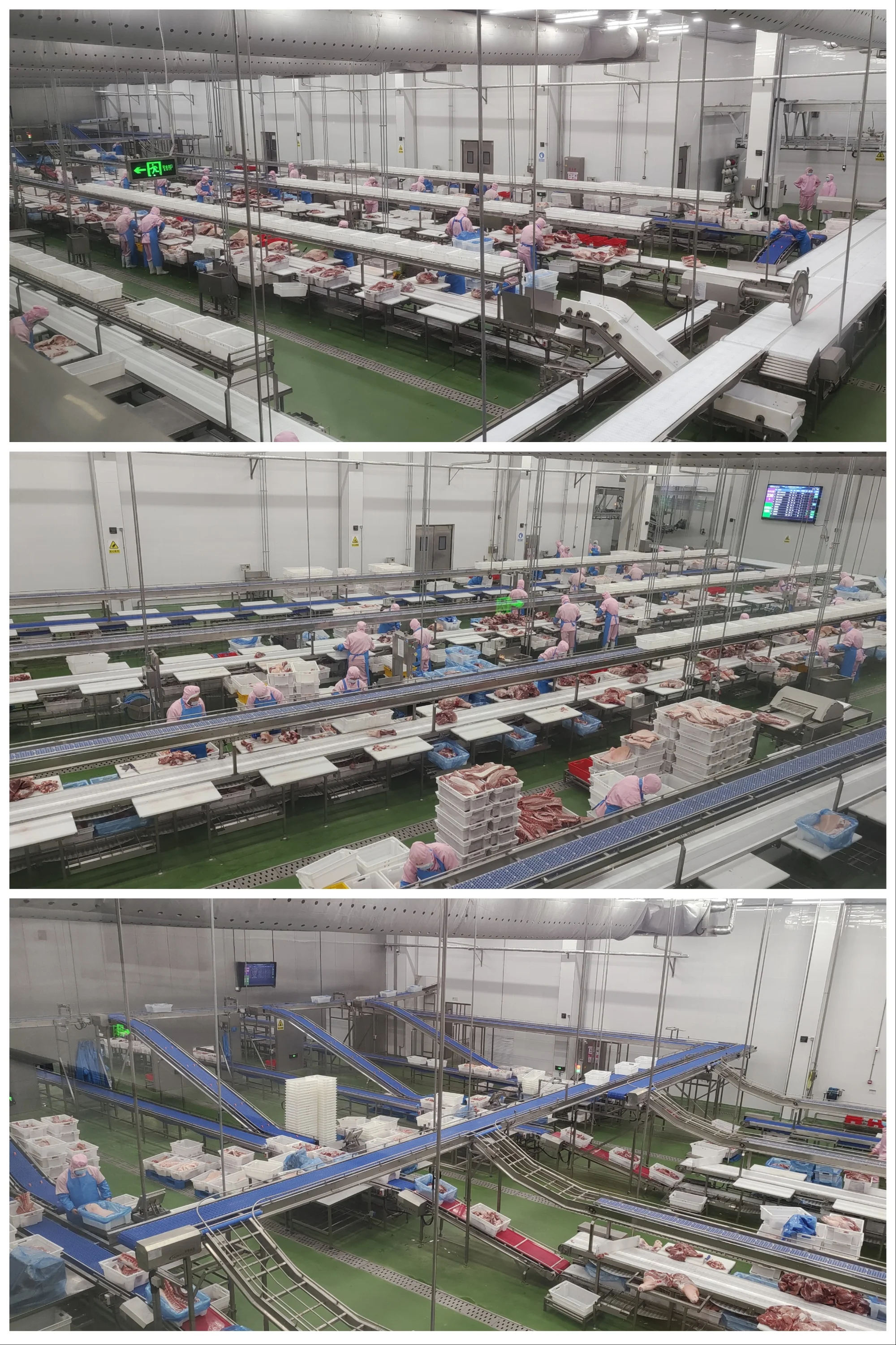 Meat slaughterhouse equipment PVC conveyor belts for cutting and packaging lines
