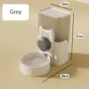 Gray drinking
