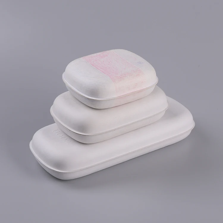Molded Pulp Packaging - Biodegradable Bagasse Pulp Boxes