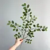 Small Redbud Tree - Green