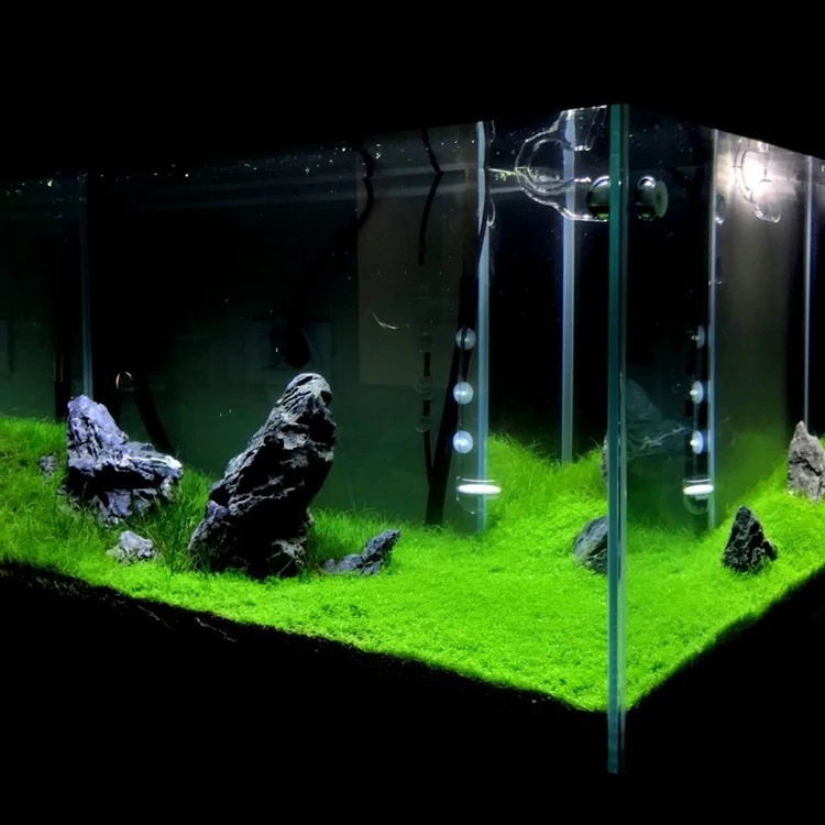 Заводская цена украшения для аквариума Помытый кислотой камень Seiryu