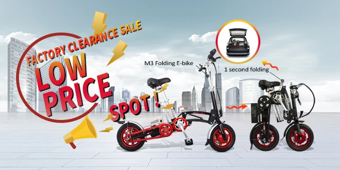 Adult Lithium Battery E Bike 250w350w E Bike Ebike Bicycle Electric Folding Bike Buy Electric 6948