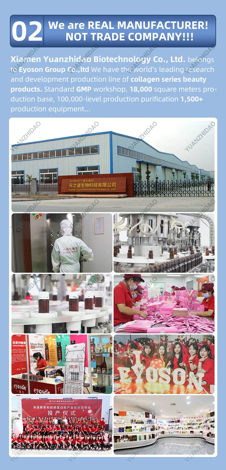 Custom Hydrolyzed Collagen Type 1&3 Collagen Peptide Complex Marine