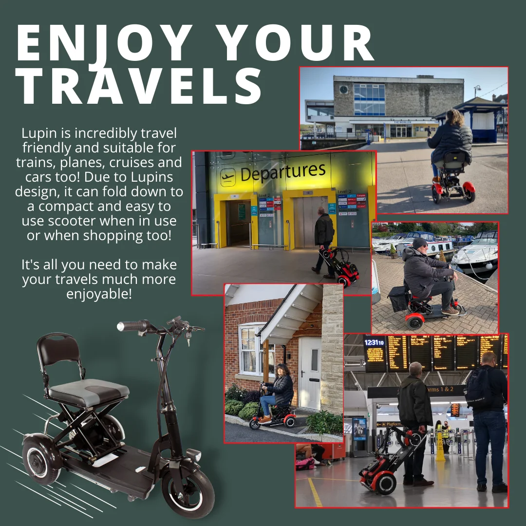 Dynalion Travel 3 Wheels Elderly Disabled Electric Scooter High Performance Handicapped Folding Mobility Scooter For Seniors