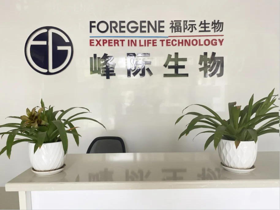 Foregene Co., Ltd. 3