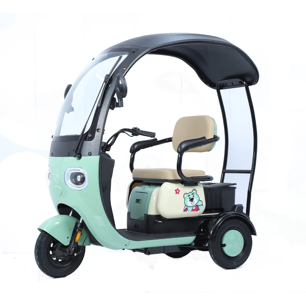 Wholesale Price Ebike Wheel Electric Tricycle 800W