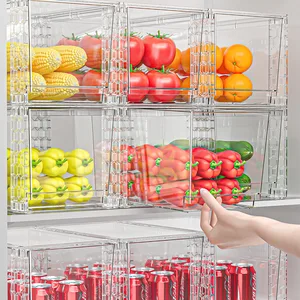 Modern Home Kitchen Fruit Vegetable Fresh-Keeper Egg-Specific Storage Transparent PET & Plastic Refrigerator Storage Box
