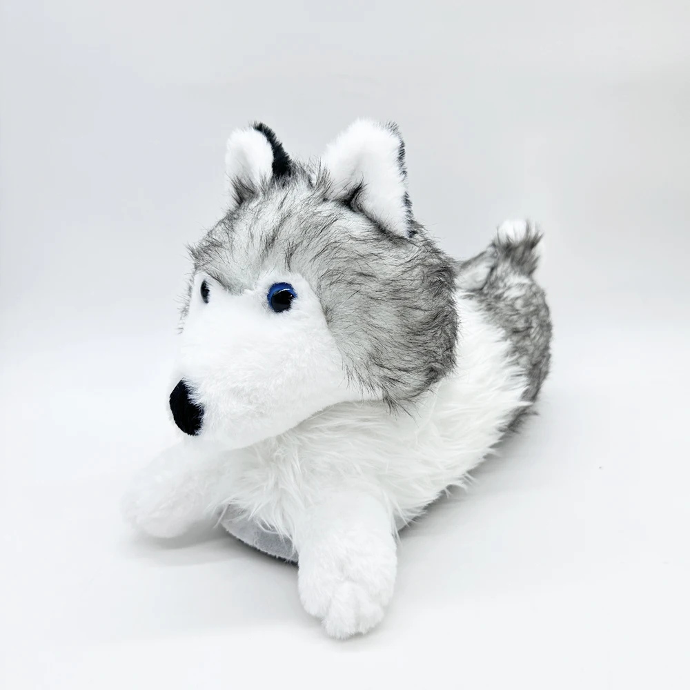 Whippetdog Malinois Mix | TikTok, image size:1000x1000