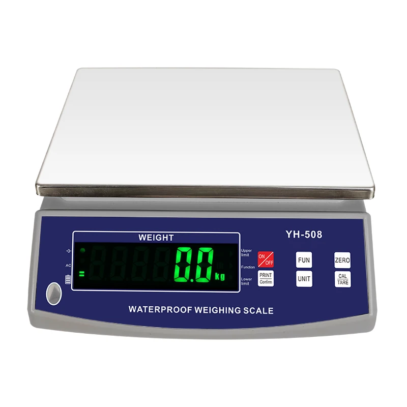 High Precision Electronic Weighing Scale Digital Small Scale Industries Machines Japan