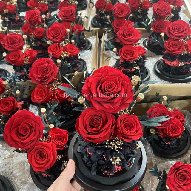 Wholesale Natural Real 3-Head Eternal Preserved Rose Flower Galaxy Rose In Glass Dome Valentine's Mother's Day Gifts 2025