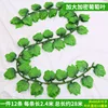 40 enlarged and densely packed grape leaves (12 leaves)