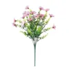 7-polvo violeta eucalipto