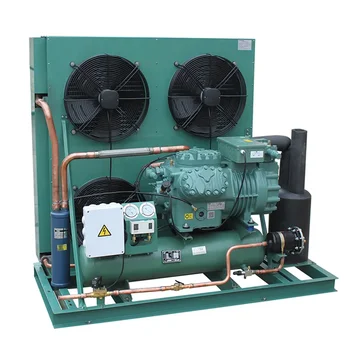 3HP 4HP Cold Room Refrigeration Air Cooling Walk in Freezer Piston Condensing Unit