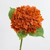 Naranja Otoño Or4