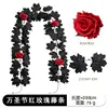 21 enredaderas de rosas rojas