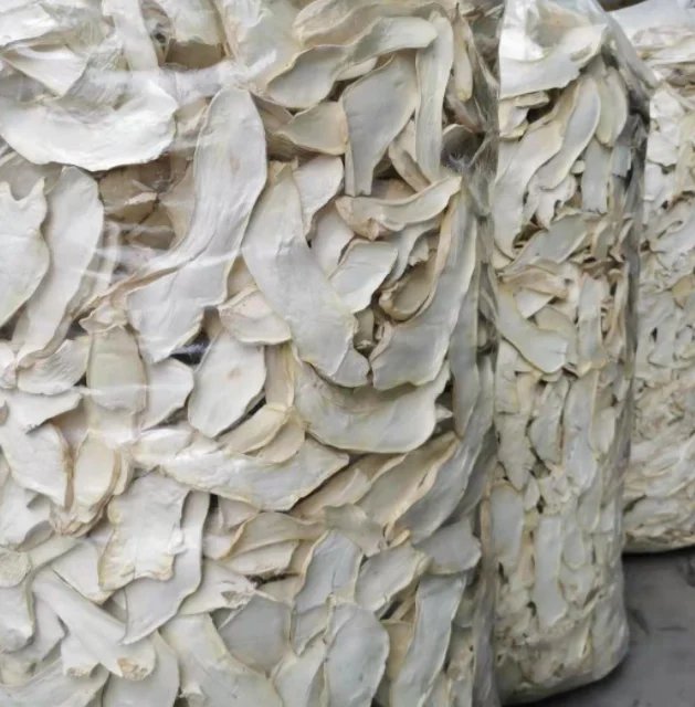 100% чистый сырой Pleurotus eryngii сухой гриб, Китай, высушенный стебель устриц