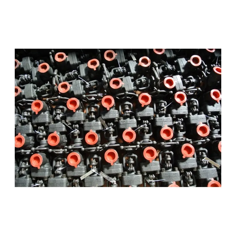 Globe Valve Size 1'' Sw Ends Carbon Steel Flow Regulation Block