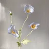 Blu-chiaro