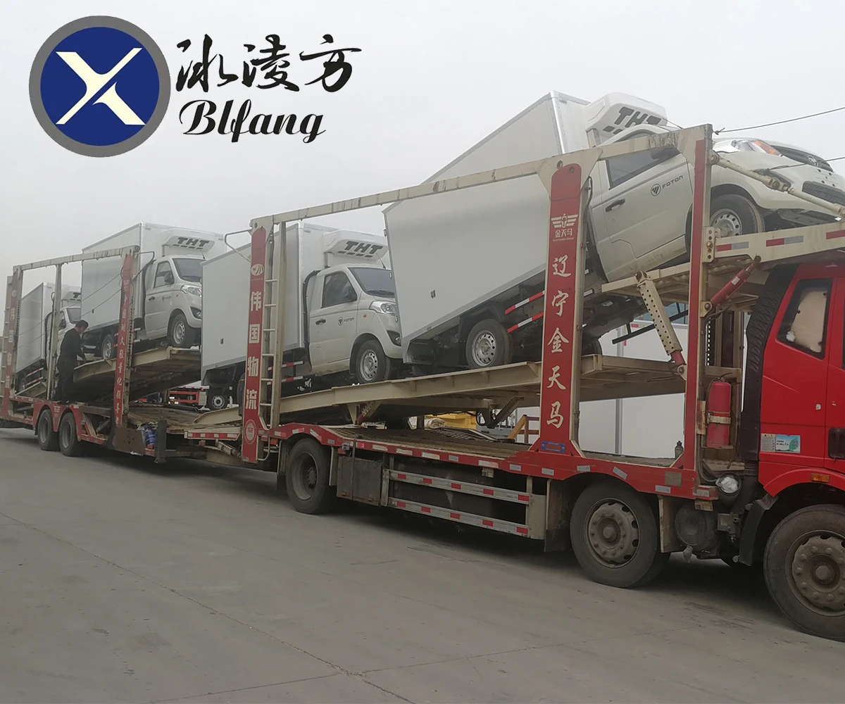 Foton 4x2 1T Mini Refrigerator Truck Customization Transport Vegetable Freezer Small Refrigerated Truck for Sale