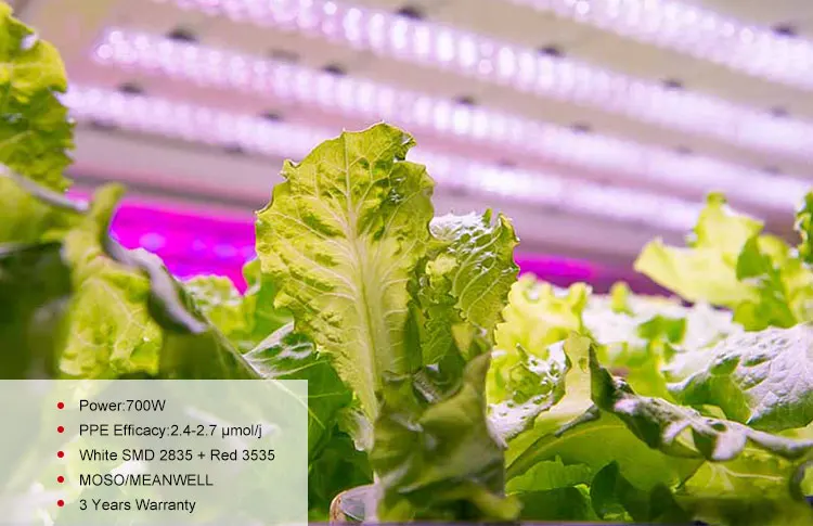 LED GROW LIGHT (5).jpg
