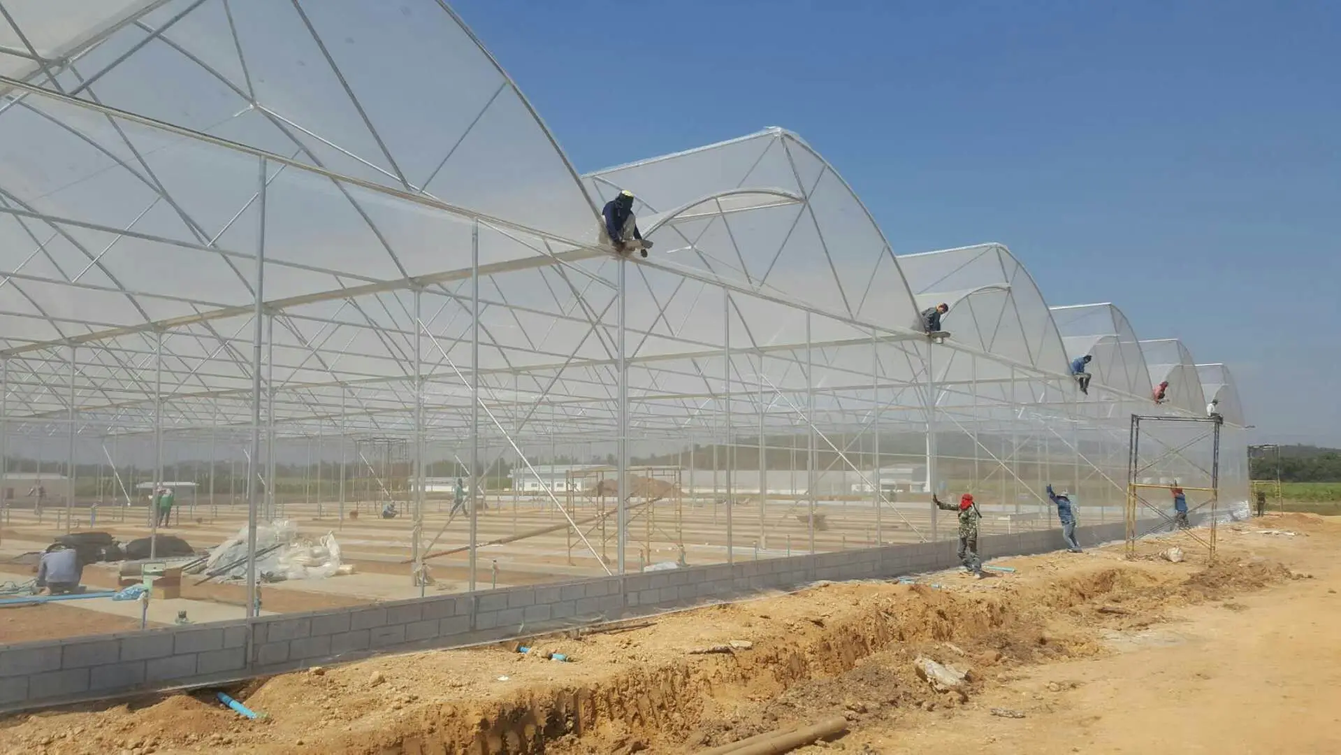 sawtooth roof greenhouse