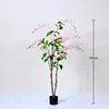 Pink weeping jasmine bonsai, 150cm