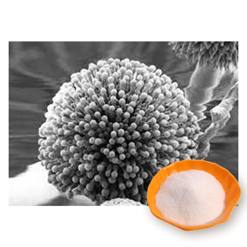 천연 소스 곰팡이 키틴 키토산 Aspergillus Niger Chitosan Buy Pectinase에 Chitosan