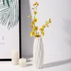 blanco-E