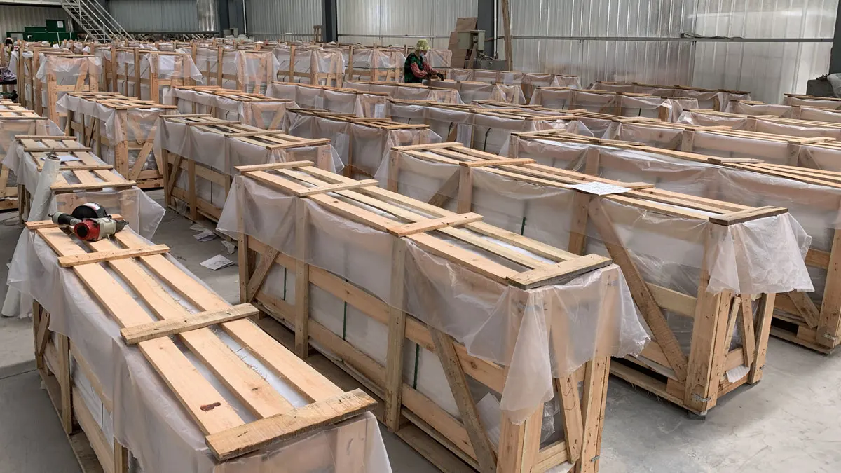 Xiamen Co Shine Import & Export Co., Ltd. 3