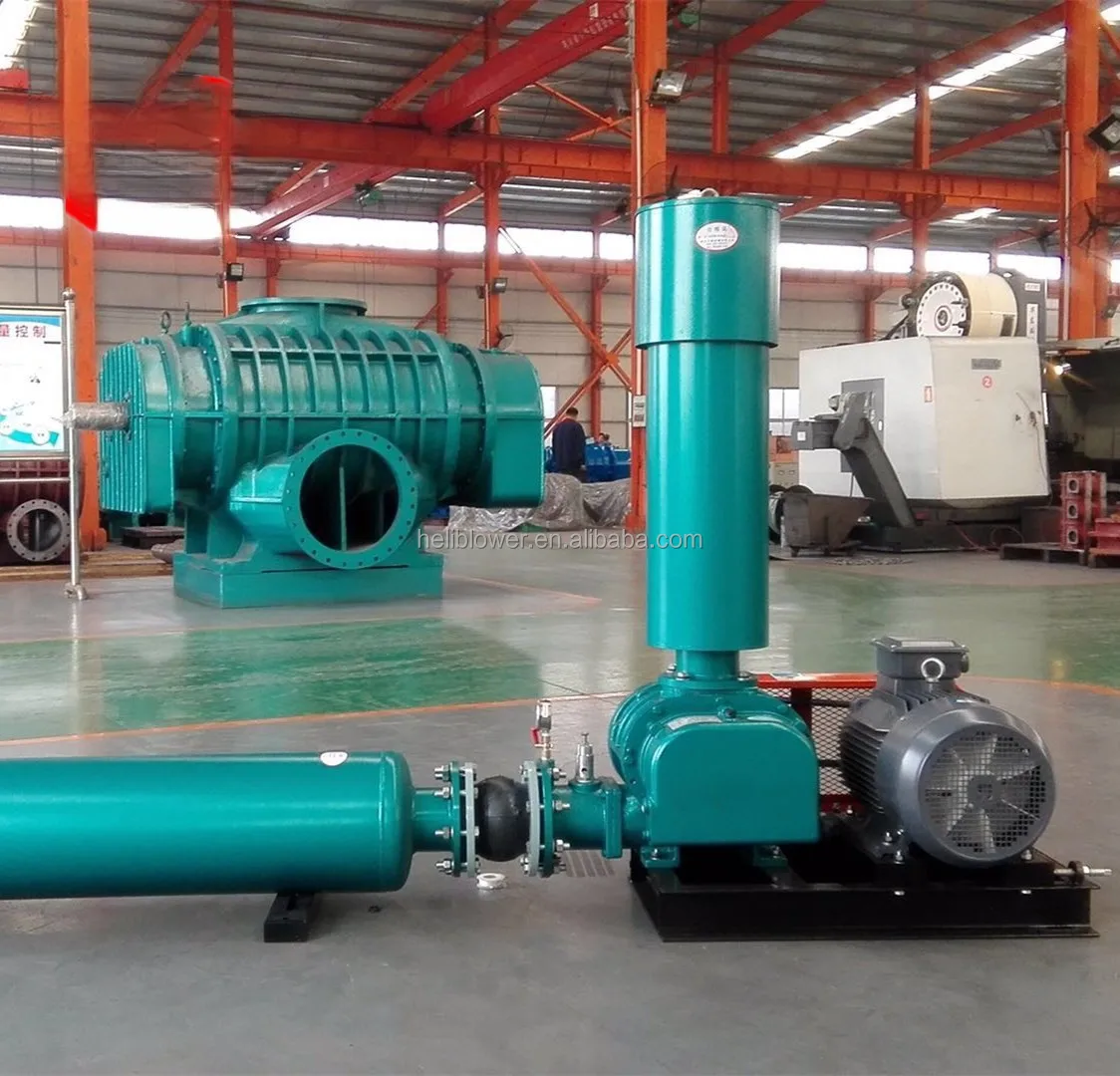 Roots Rotary Lobe Blower, 10hp, 220 V, 0.5~500m3 - detail 2