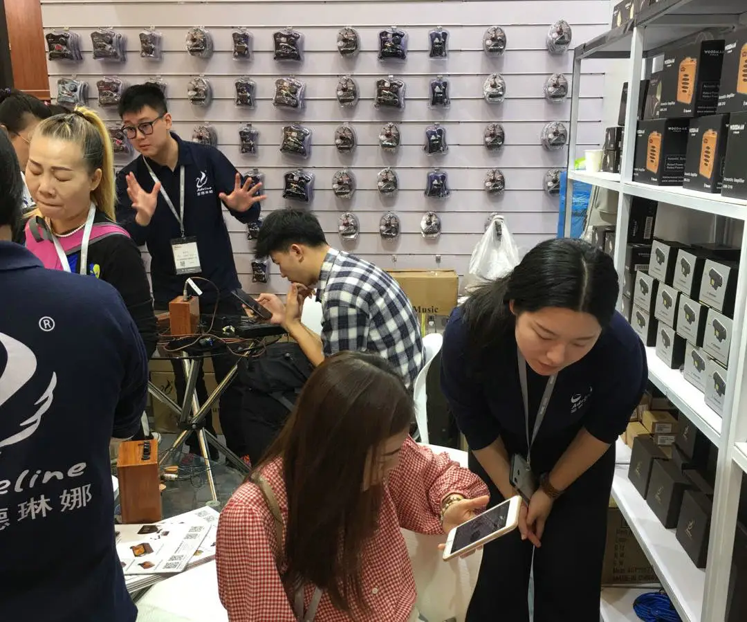 Shenzhen Aide Linna Musical Instrument Co., Ltd. 2