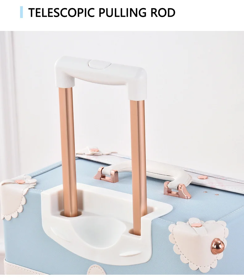 Vintage 2 Piece Luggage Set - Retro Suitcase with Spinner Wheels