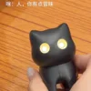 Gato negro (bolso de opp)