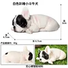 Colorido Bulldog pequeño agazapado M-974 Blanco