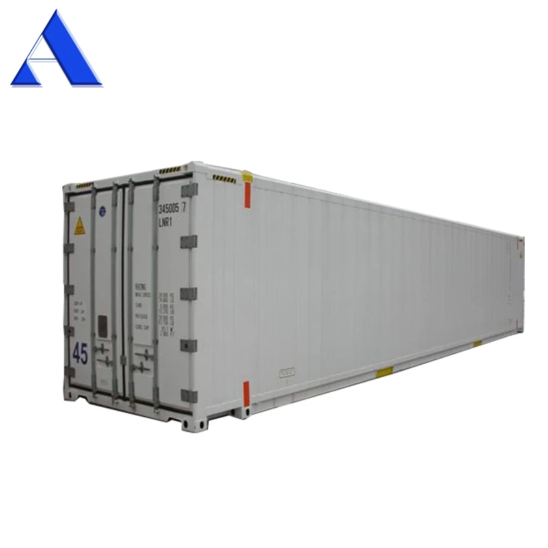 45ft HC Refrigerated Reefer Container 380/460V Low Temperature Stainless Steel and Aluminium for Vegetable & Fruit Storage