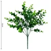 Eucalyptus sphagnum moss bundle 012