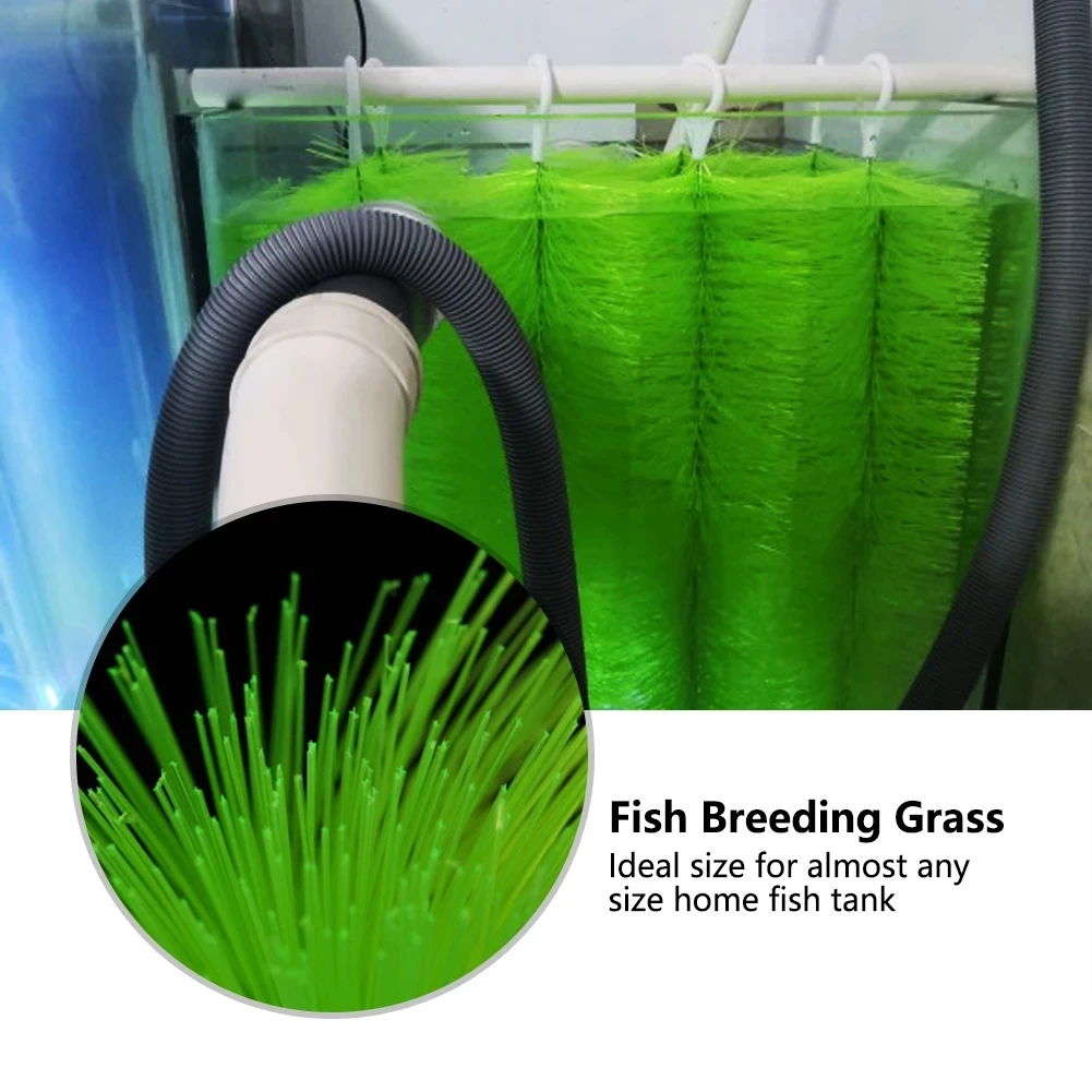 鱼养殖草金鱼孵化草金鱼产卵水族馆鱼缸水草100厘米水下 Buy 锦鲤池塘孵化草 水族鱼缸配件 产卵玻璃product On Alibaba Com