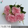 7-headed carnations XC pink
