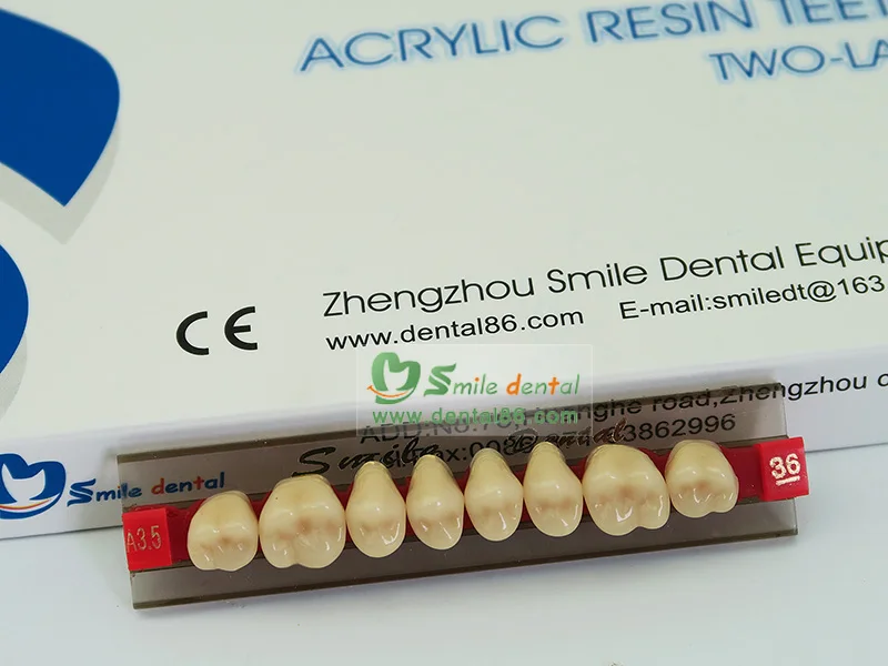Resin Tooth Example Dental False Teeth Posterior Acrylic Resin Teeth Artificial Teeth - Buy ...
