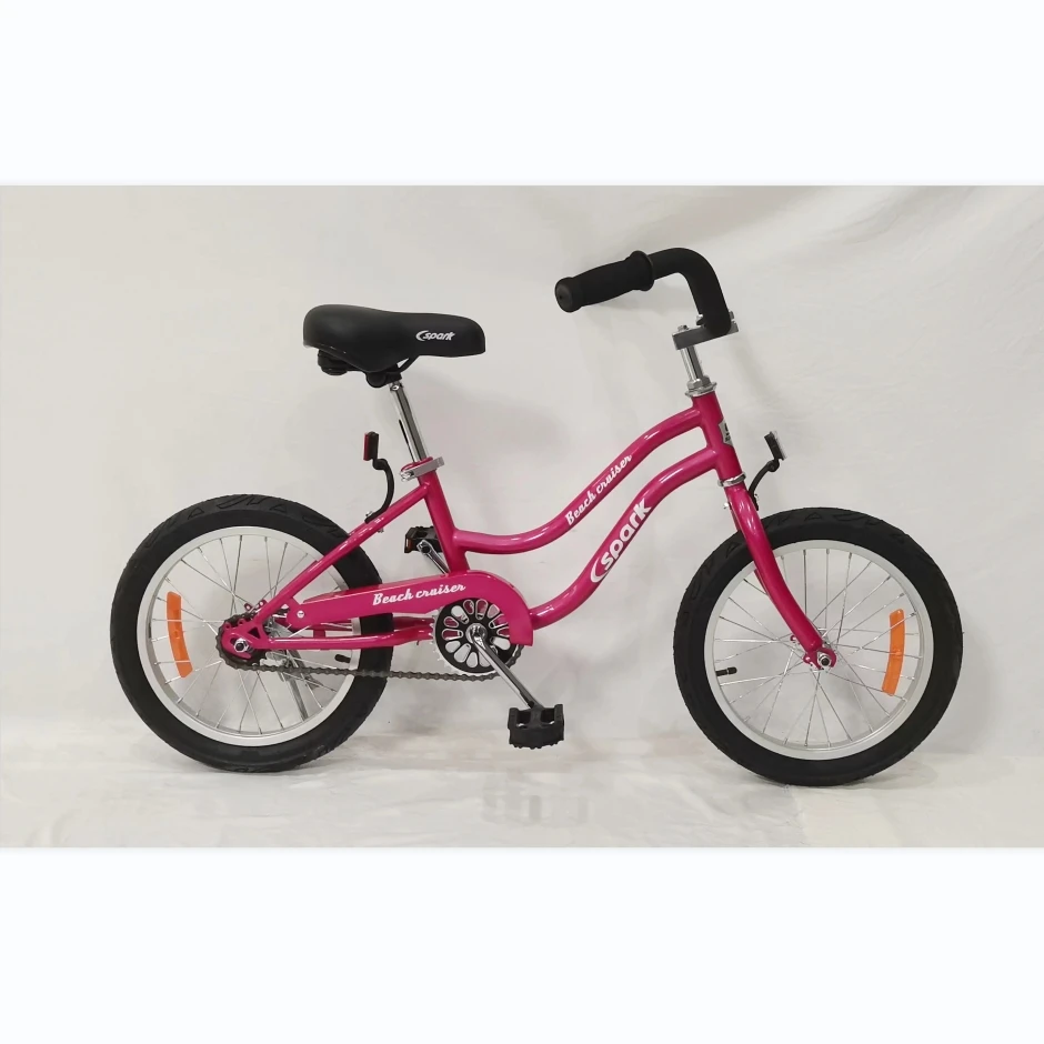 carbon fiber beach cruiser