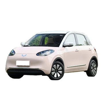New Car 2023 Wuling Binguo Ev Electric New energy vehicle Cost-effective Convenient Charging Mini Electric Car