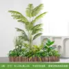 Aménagement paysager de plantes vertes de palmier d'arec de style U