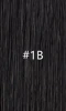 #1B