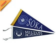 8-felt pennant.jpg