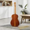 Violon de style italien Vanish