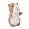 Guilbert Guinea Pig