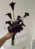 colore scuro 10