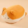 Gato naranja y blanco